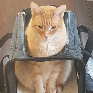 Meet your Posher, Jack